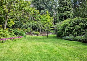 Optimiser l'expérience du jardin à Saint-Just-et-le-Bezu